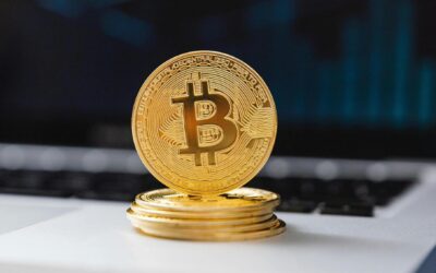 Rozliczenia podatkowe kryptowalut – przydatne słówka